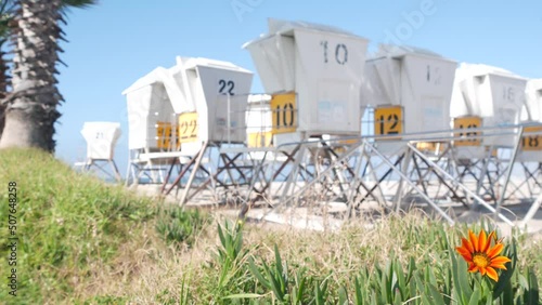 Lifeguard stand and flower, life guard tower for surfing on California beach. Succulent ice plant and rescue hut or house by summer ocean. Lifesavers station near Los angeles on Mission beach, USA.