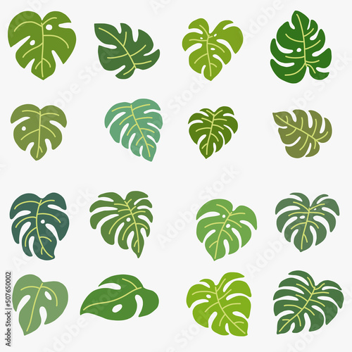 Boho monstera leaf freehand drawing flat design.