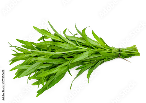 Photos Bunch of tarragon isolated on a white background