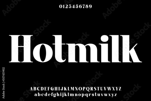 Elegant bold serif display font vector