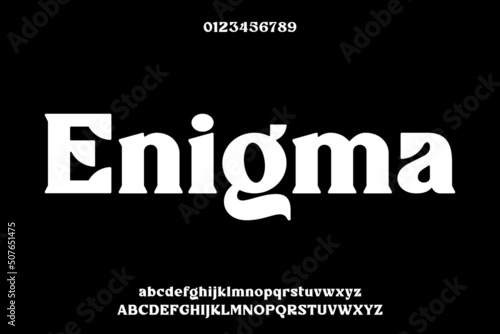 Unique elegant bold serif display font vector