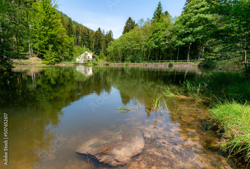Tourbière de la Maxe