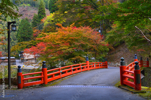 京都市清滝川に架かる高尾橋と紅葉が美しい