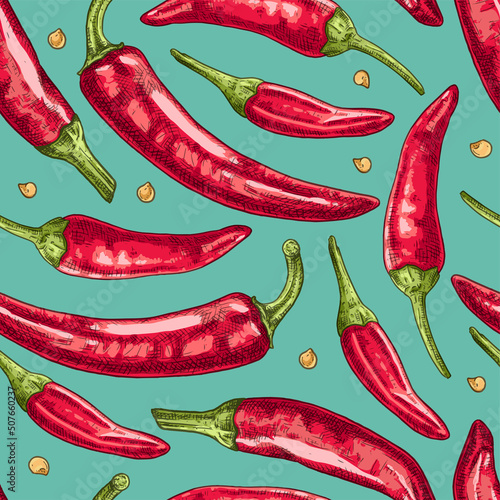 Hand drawn colorful red chili peppers. Vector seamless pattern. For kitchen design, food packaging, textiles.