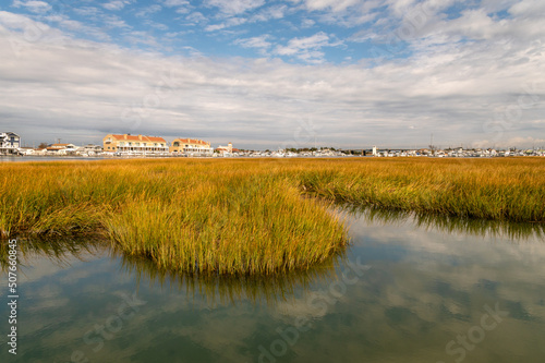Coast of Cape May, New Jersey NJ; coast; harbor; grass; sea grass