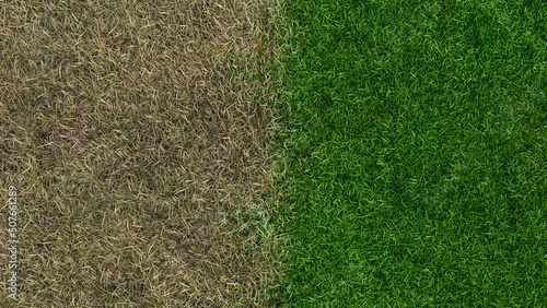 lawn fertilizer before and after landscaping growing sward 3D illustration photo
