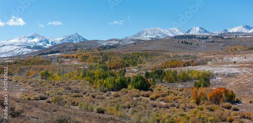 Panorama of fall colors with the snow covered Eastern Sierras in the distance