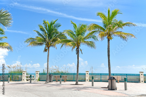 Fototapeta Naklejka Na Ścianę i Meble -  Beautiful, calm beach day with palm trees in Vero Beach, Florida