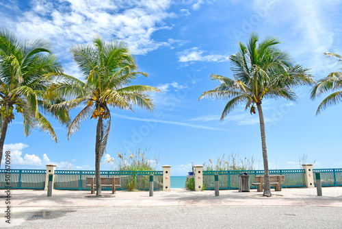 Fototapeta Naklejka Na Ścianę i Meble -  Beautiful, calm beach day with palm trees in Vero Beach, Florida