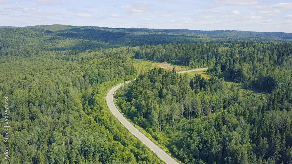 Fototapeta premium Aerial view of a road in autumn surrounded by pine tree forest. Clip. Top view of the road in the forest