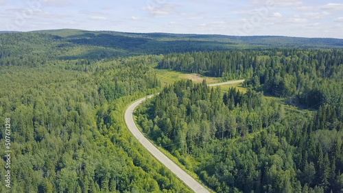 Aerial view of a road in autumn surrounded by pine tree forest. Clip. Top view of the road in the forest