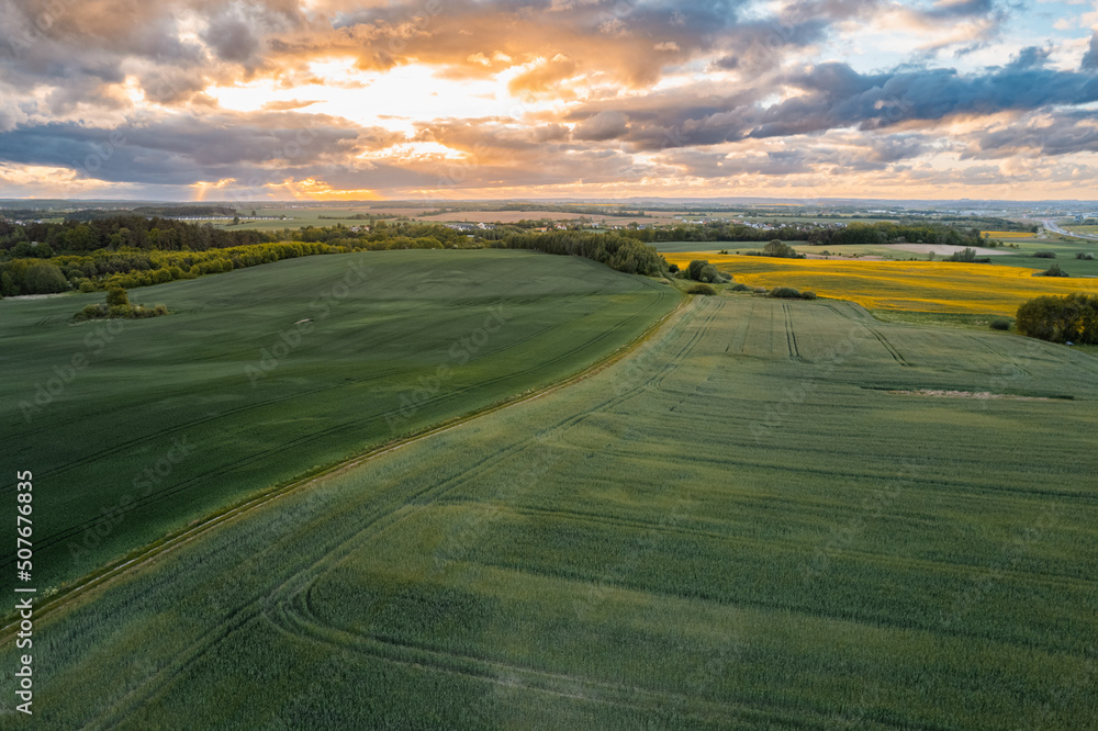 Aerial drone view of freshly sown green fields with tractor tire tracks. Dramatic colorful skies at sunset