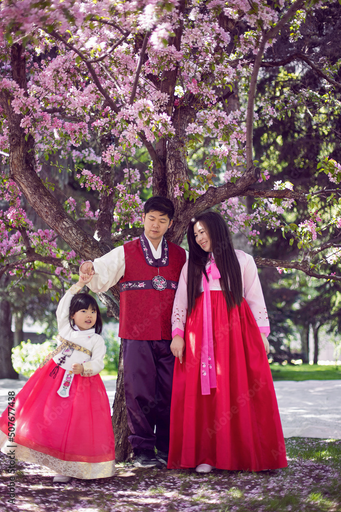 Korean family in national costumes in nature stands next to a cherry blossoming tree