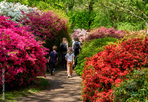 Beautiful fresh red and pink flower bed design in Richmond Park in the spring season photo