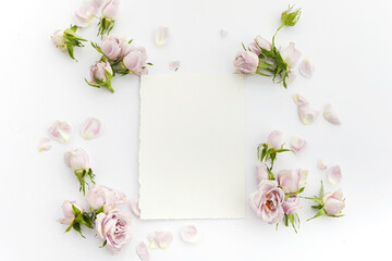 Framework from roses and petals on white background. Flat lay.