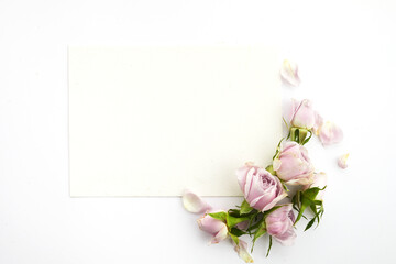 Framework from roses and petals on white background. Flat lay.