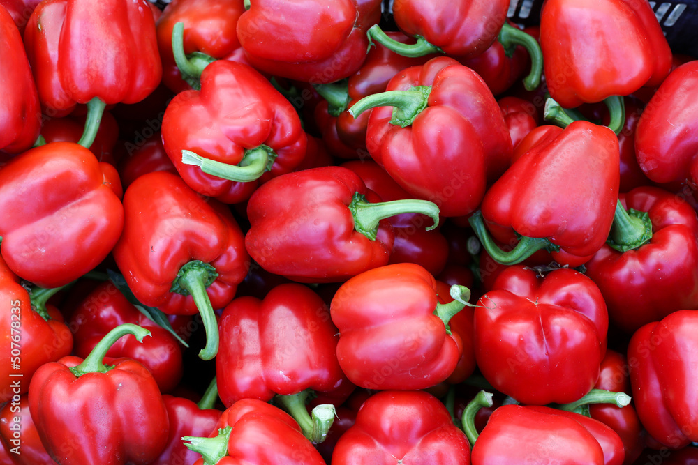 Pimientos california rojos recolectados Pimientos california rojos recolectados