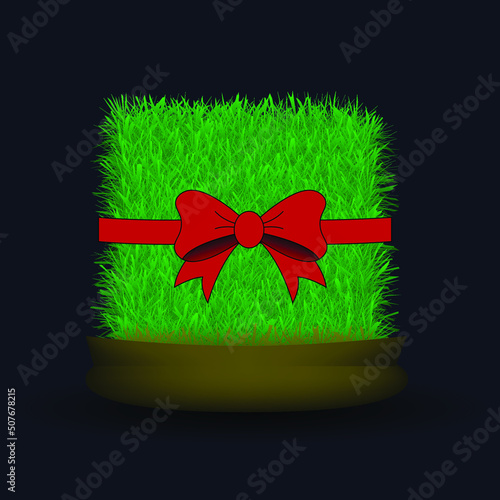Sprouted wheat sprouts for the Nowruz holiday with red ribbon. Traditional celebration of the vernal equinox. Persian, Iranian, Azerbaijan New Year