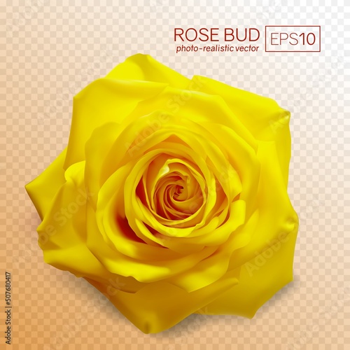 Realistic vector rose on transparent background. 3d bud of a yellow rose. 