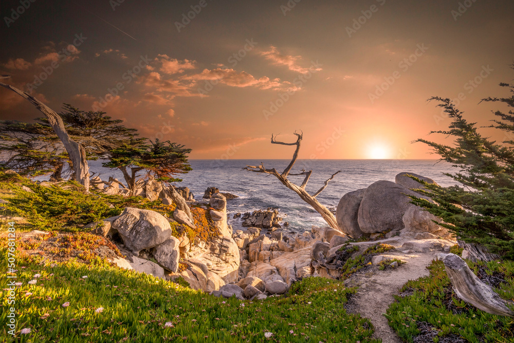 Coastline at the Monterey complex in the United States.