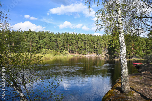 Fototapeta Naklejka Na Ścianę i Meble -  Forest river in May.