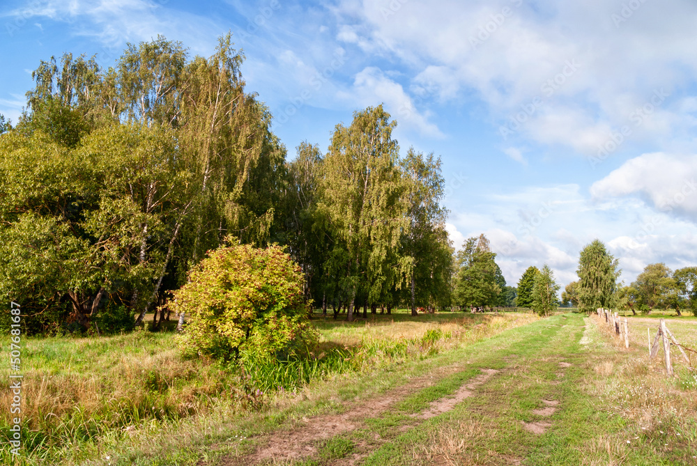 Piękno z pól i łąk w letni dzień, Podlasie, Polska