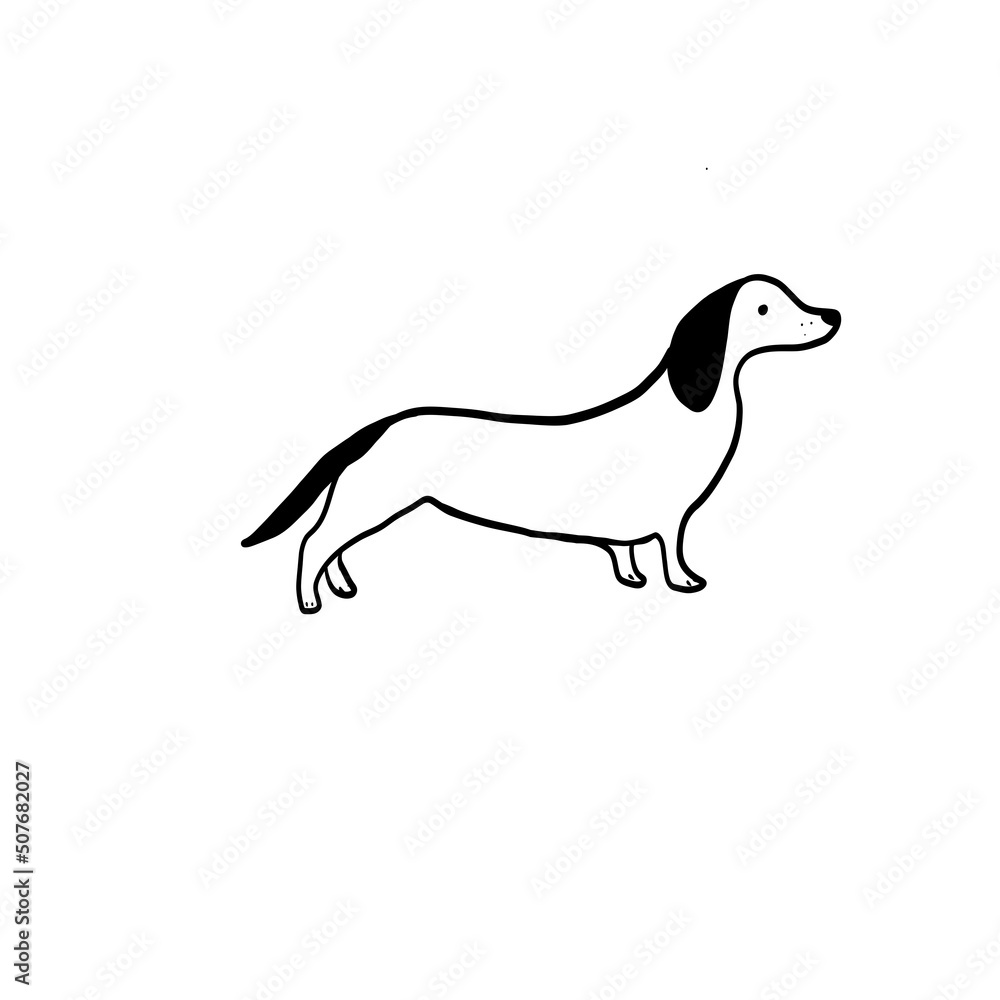 Dachshund, Sketch dog, black and white dog