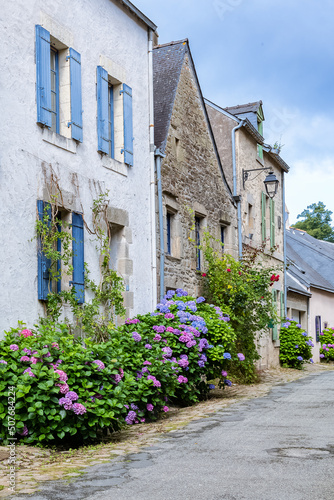 Fototapeta Naklejka Na Ścianę i Meble -  Saint-Goustan in Brittany, in the Morbihan, traditional house in the village, typical street