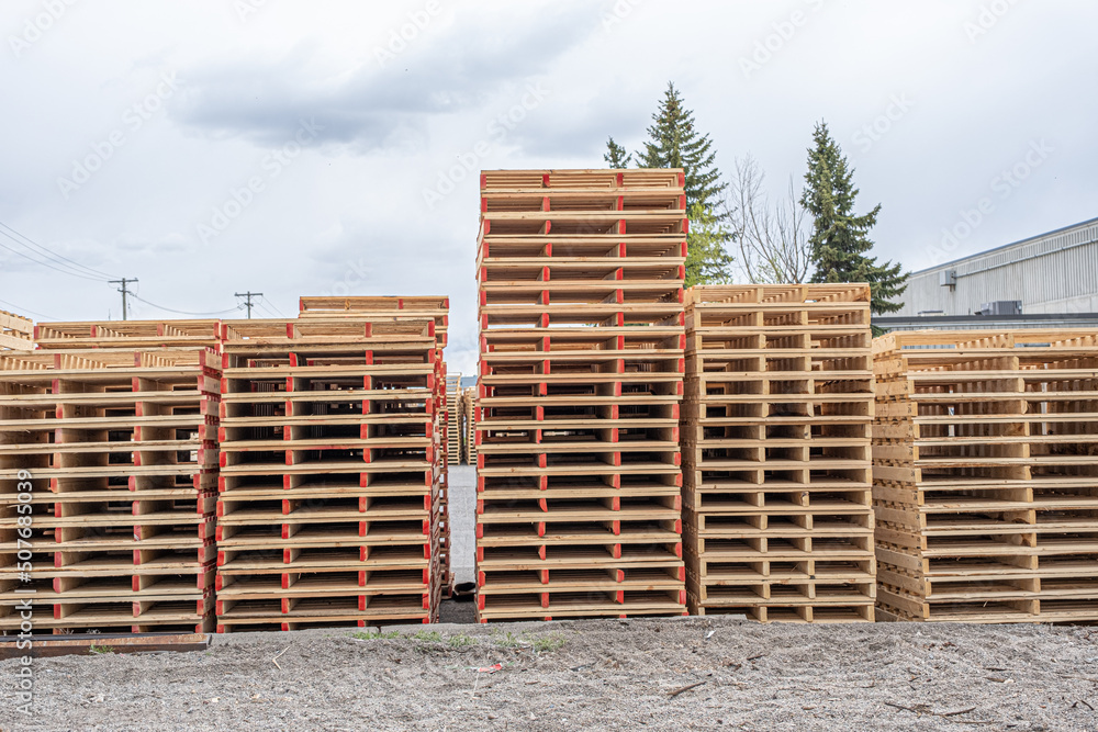 Wood Pallets at Factory ready for Shipping to Clients Wood Pallets at Factory ready for Shipping to Clients