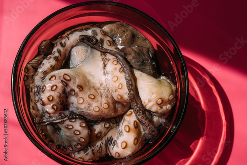 Raw fresh octopus in a plate on a pink background.