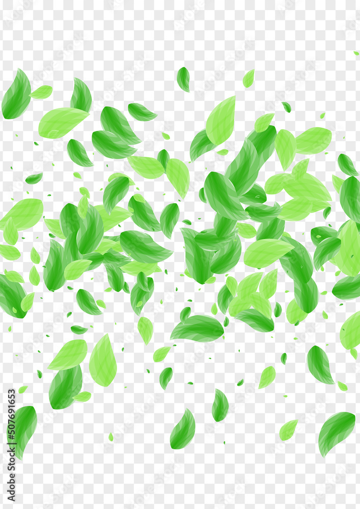 Green Sheet Background Transparent Vector. Plant Eco Texture. Drink Frame. Greenish Element Illustration. Leaves Symbol.