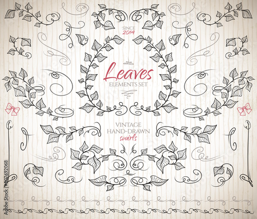 Floral decorative elements set. Leaves and branches in isolated vector
