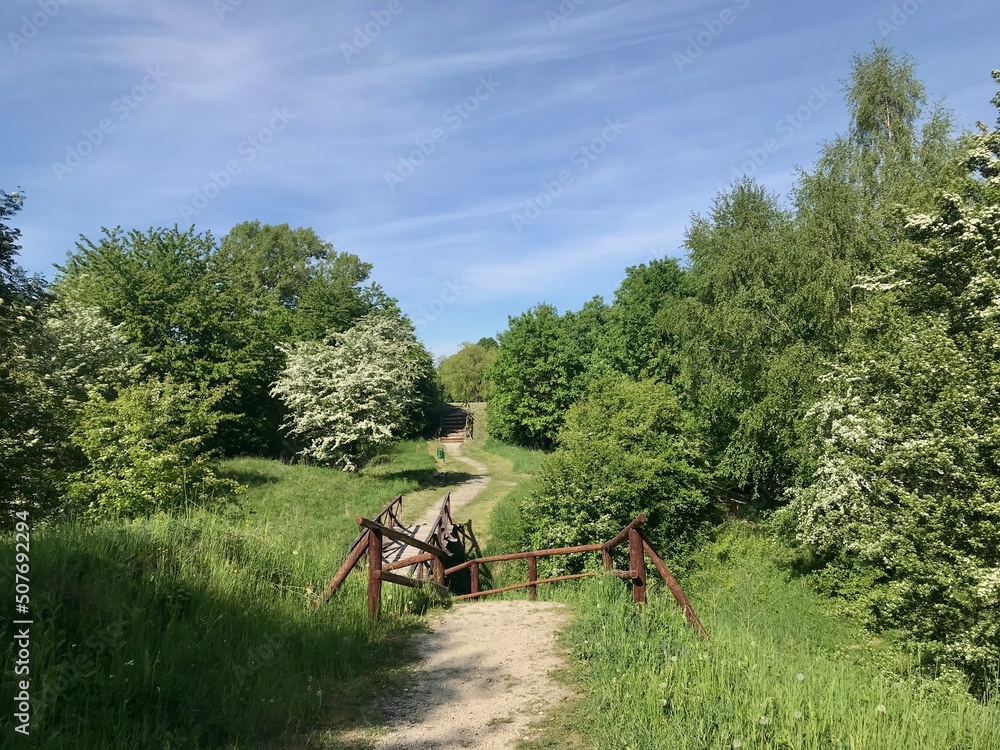 Obraz premium Wooden bridges and steps in the area of the Tatar mound among bushes and tall trees are a place for walks and recreation of locals in Przemyl, Poland. 