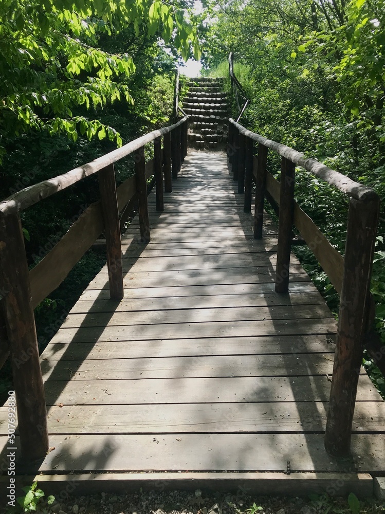Wooden bridges and steps in the area of the Tatar mound among bushes and tall trees are a place for walks and recreation of locals in Przemyl, Poland. Wooden bridges and steps in the area of the Tatar mound among bushes and tall trees are a place for walks and recreation of locals in Przemyl, Poland.