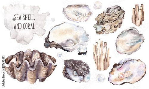 Watercolor illustration with sea shell and coral, pearl, isolated on white background, sea collection underwater  composition.