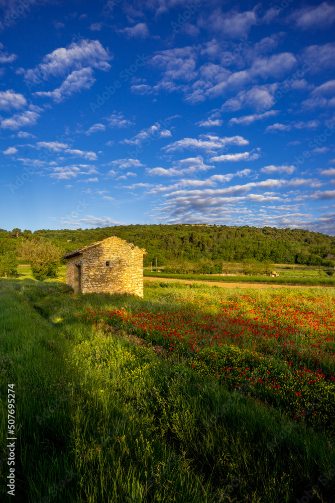 Paysage campagne 1194