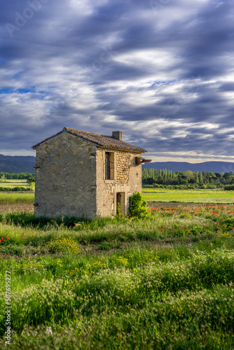 Paysage campagne 1196