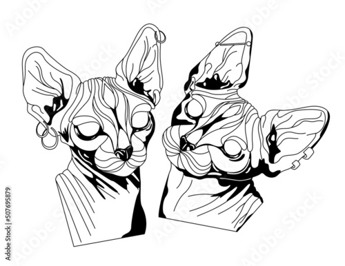 Sphinx cats tattoo vector illustration. Hand drawn black ink tattoo sketch cats with big ears. Graphic bald cats with piercing and earrings. For tattoo, printing clothes, sticker, t-shirt, design