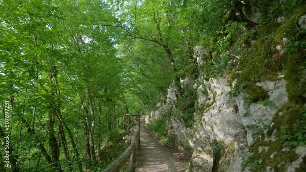 Walking Along a Trail in a Green Forest in Plitvice Lakes National Park in Croatia Walking Along a Trail in a Green Forest in Plitvice Lakes National Park in Croatia