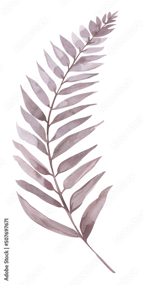 Branch of burgundy fern painted in watercolor on wet paper isolated on white background for textile and postcard design