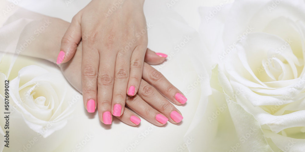 Beautiful female hands with fresh pink manicure lying on a white rose flowers backdrop.