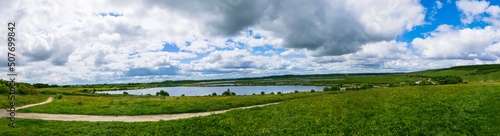 landscape with grass