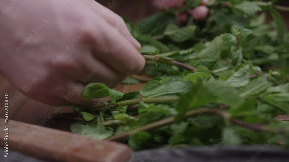 Smooth slider shot of a man selecting the leaves of fresh mint leaves on old wooden background.
Smooth slider shot of a man selecting the leaves of fresh mint leaves on old wooden background.