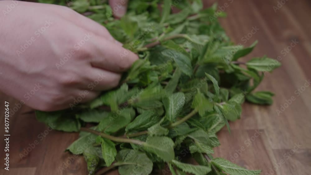Very smooth slider shot of a man selecting the leaves of fresh mint leaves on old wooden background.
Very smooth slider shot of a man selecting the leaves of fresh mint leaves on old wooden background.