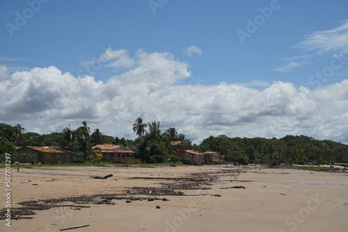BEACH IN MARAJO ISLAND In Brazil photo