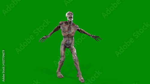 Fantasy character Zombie Undead in epic pose - 3D render on isolated green background