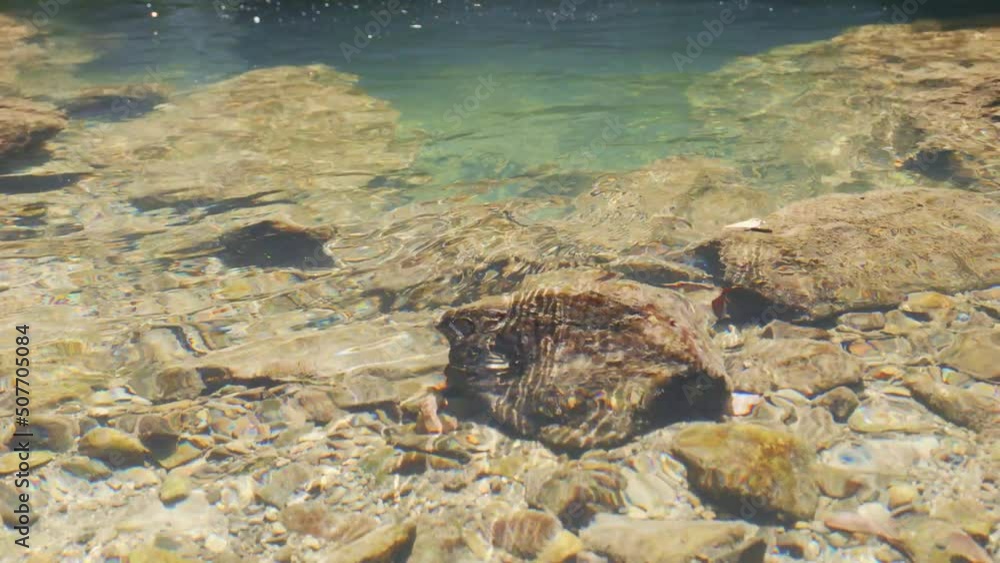 【自然】森に流れる透明な川の水 香川県
【自然】森に流れる透明な川の水 香川県