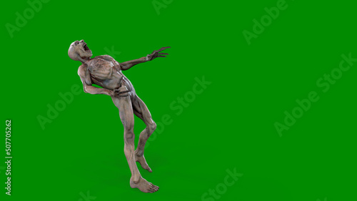 Fantasy character Zombie Undead in epic pose - 3D render on isolated background © botastock
