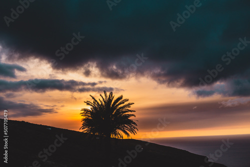 Sunset over a palm