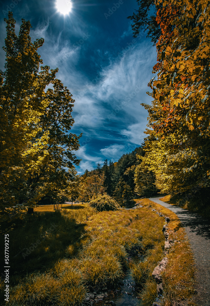 Autumn Breeze Autumn Breeze